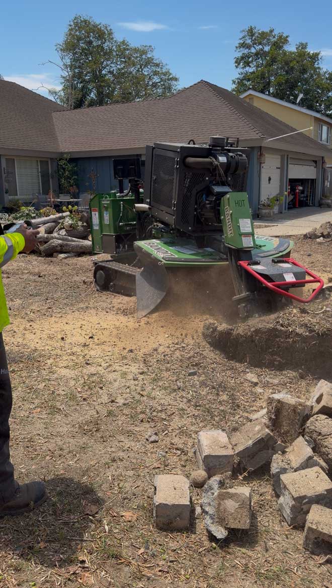 Stump Grinder