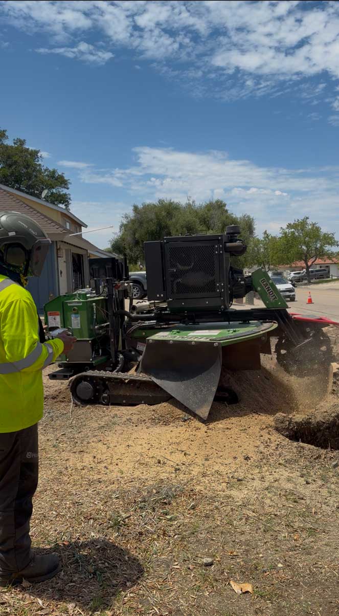 Stump Grinder