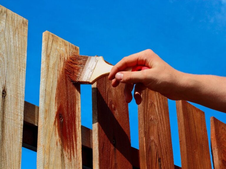 Photo of fence being stained