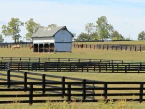 Photo of farm fencing corrals