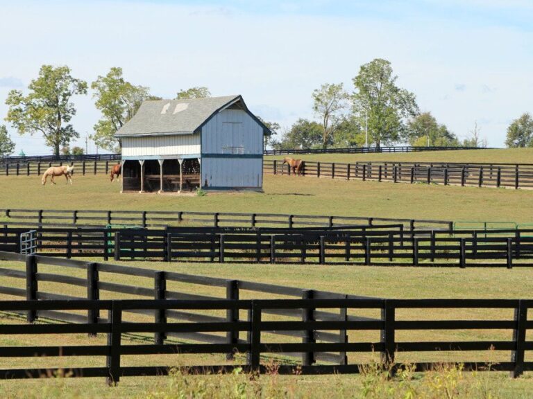 Photo of farm fencing corrals