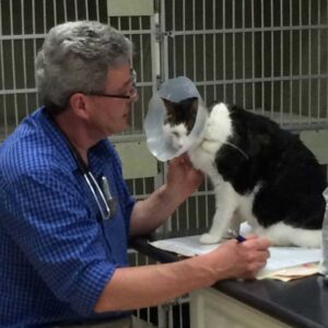 Meet Dr. Bass, our veterinarian